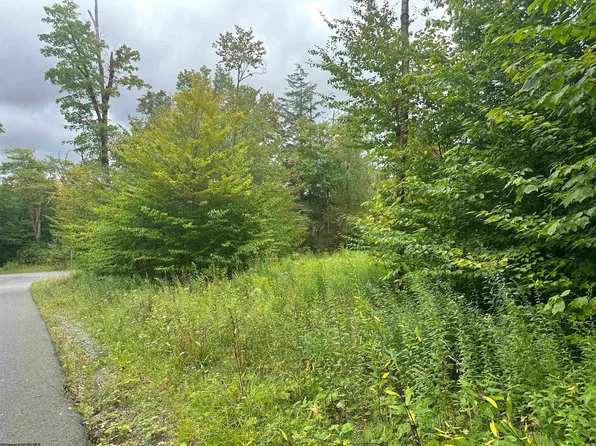 58 Venice Pl, Davis, WV 26260