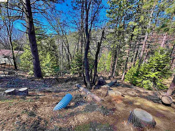5th image of 23956 Stable Rd