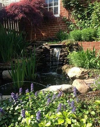 Tranquil patio/small pond