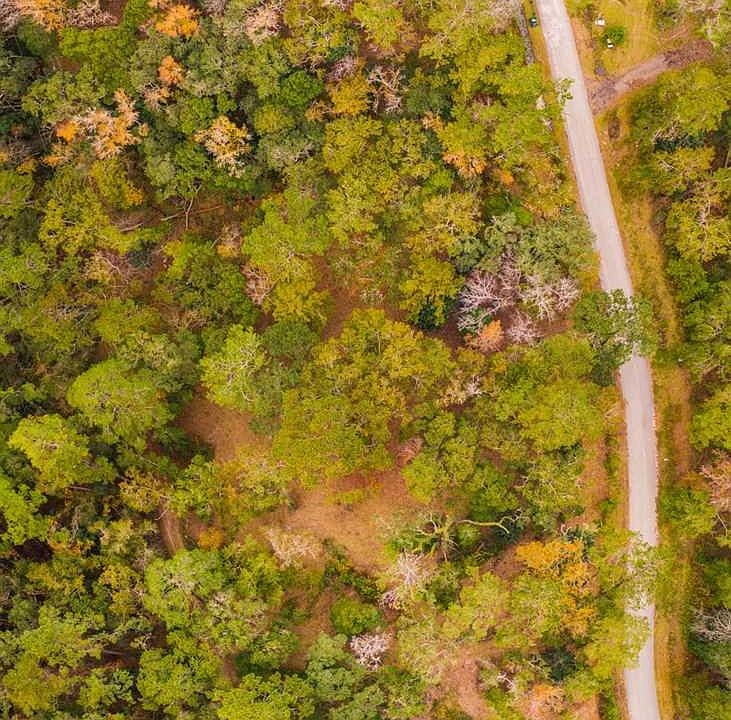 2nd image of LOT 13 Phipps Point Rd