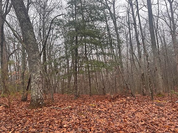 5th image of 97ACRE Winchester Creek Rd