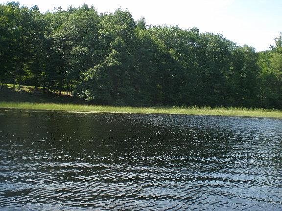View from Lake