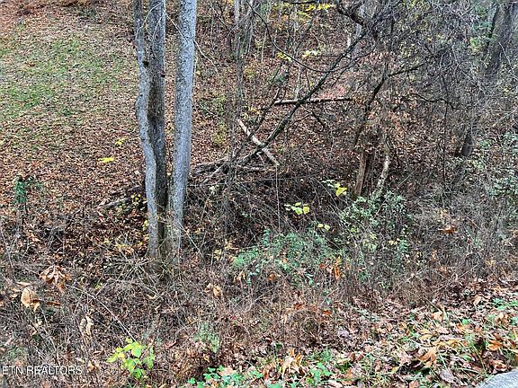 2nd image of 0 Pulaski Ln Lot 6