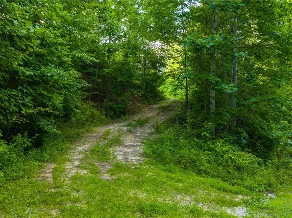 6 Big Laurel Rd Lot 6, Creston, NC 28615