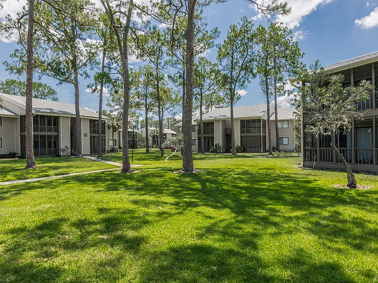 Enclave at Lake Ellenor — Photo 45