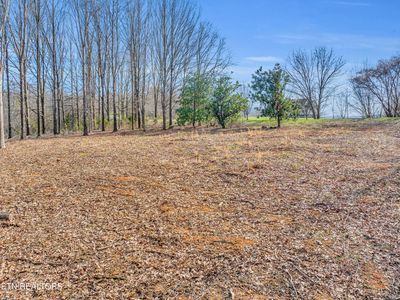 Espalier Dr, Decatur, TN, 37322