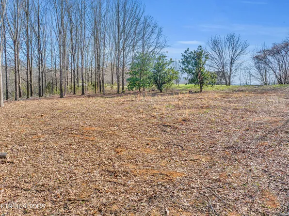 Espalier Dr, Decatur, TN 37322