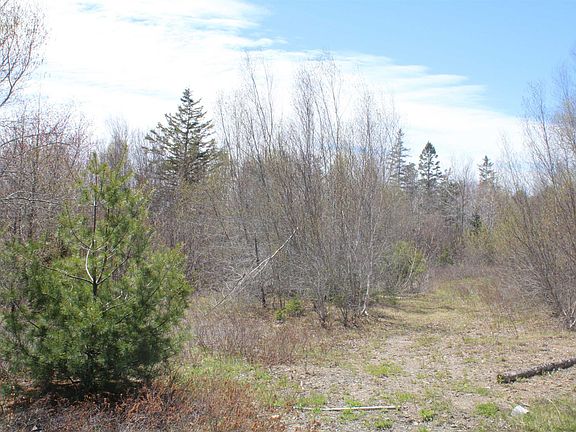 3rd image of Mary Jane Riley Rd Lot 1