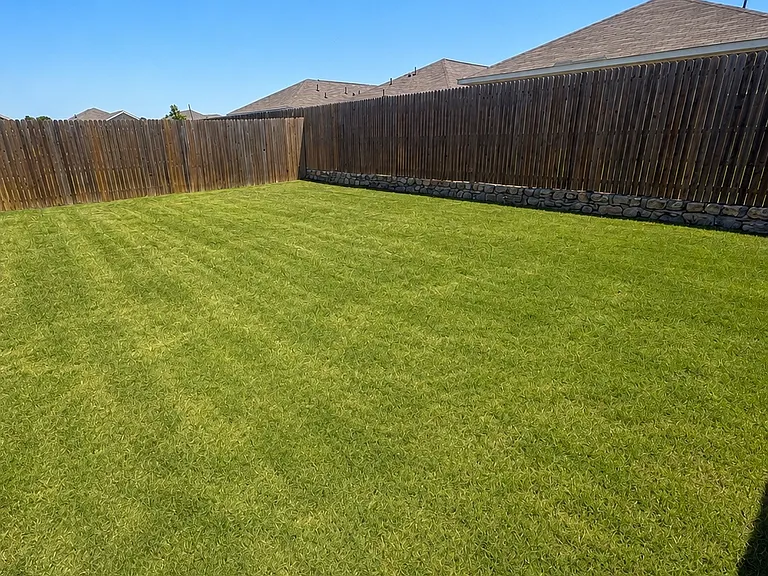 6541 Alfalfa St — Photo 15