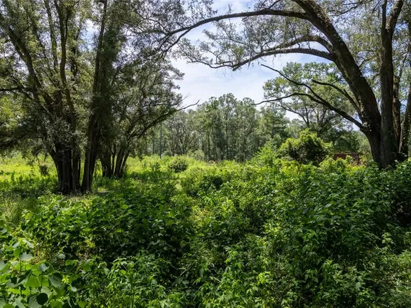 239 SW CANDI COURT, FORT WHITE, FL 32038