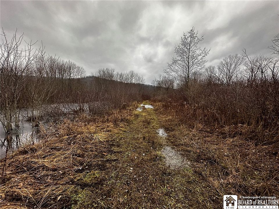 375 Route 219, Limestone, NY 14753 MLS R1487101 Zillow