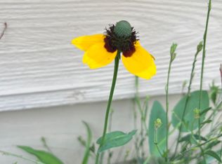 107-109 S Main St #50-4, Hurlock, MD 21643