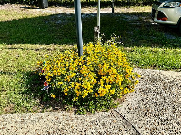 4th image of 105 GEORGE Avenue