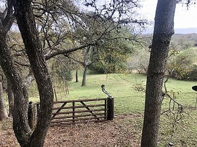 3rd image of 4553 Seawillow Rd