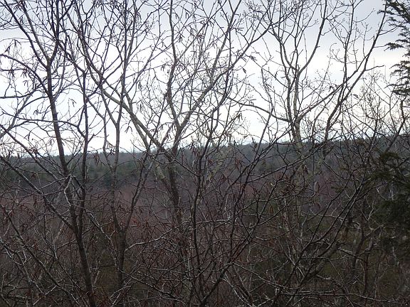 Eastern view