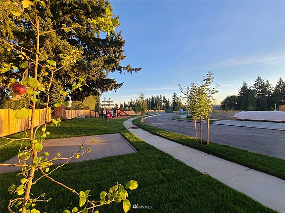Skyline Community open space features gazebo and fruit trees