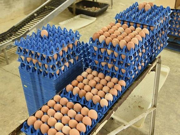 3rd image of 1251 Bardin Rd