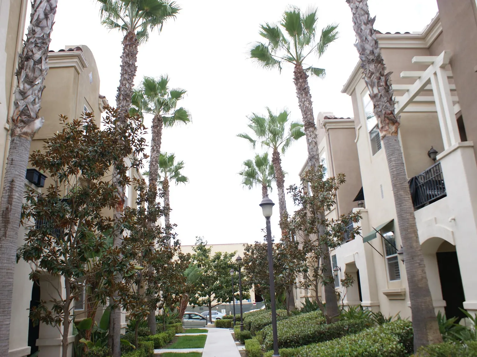 2 bed, 2.5 bath, 1101 sqft, $4,100 — Photo 3