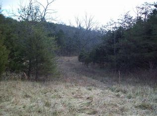 0 Buttons Blf, Buchanan, VA 24066