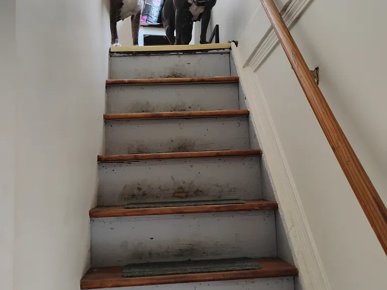9 Sherman St #2 — Photo 4