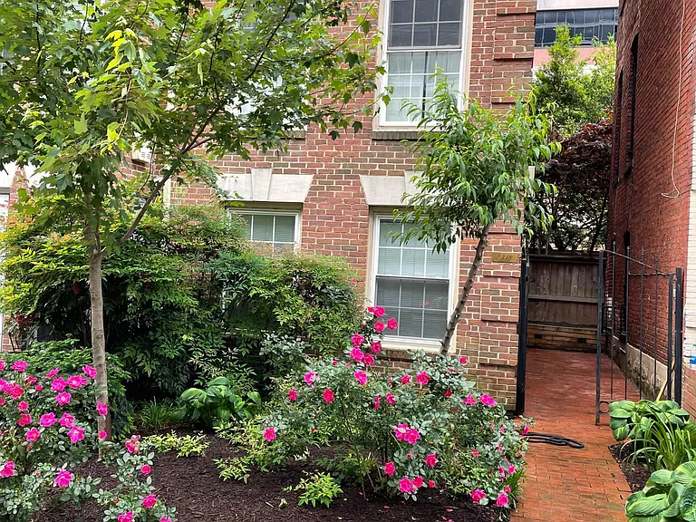 Front View on L. Street/ Private Gate Alley