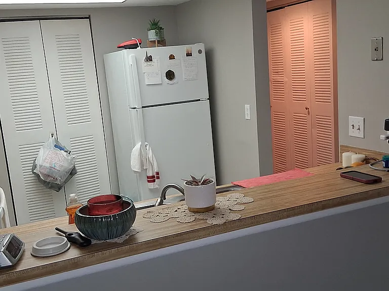 2524 Lakeway Branch Dr #3208 — Photo 6