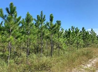 209th Place Off Hwy #136, Live Oak, FL 32060