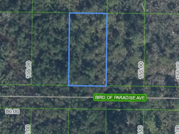2330 Bird Of Paradise Avenue, Sebring, FL 33875
