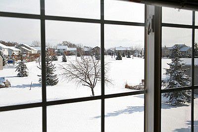 View of Park from Bedroom