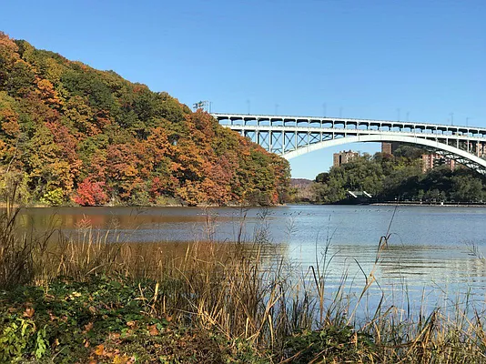 Rented by Bohemia Realty Group | media 40