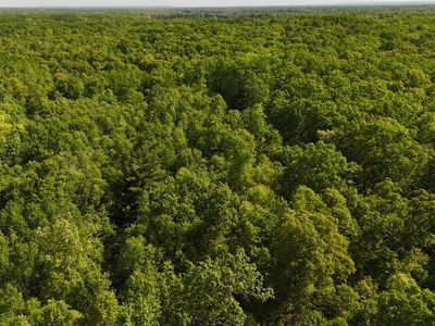 W Seven Mile Rd, Irons, MI, 49644
