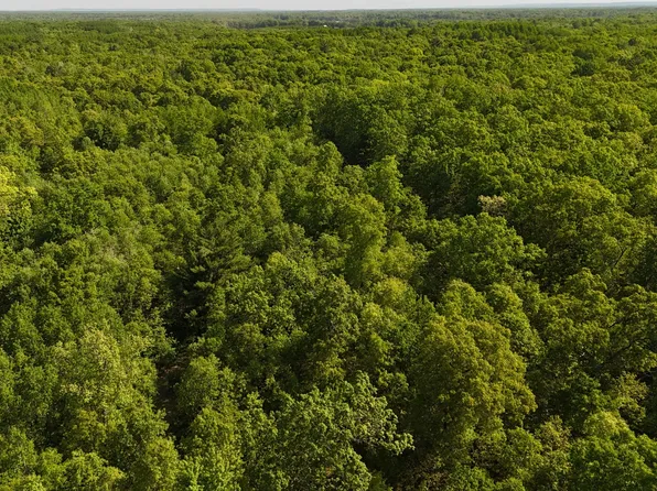 W Seven Mile Rd, Irons, MI 49644