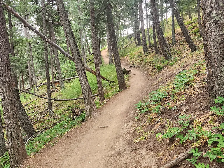 Enchanted Forest (in Apex Park), 1.08 miles from the Tea House