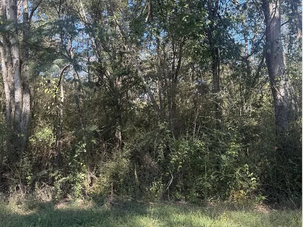 Morgan Rd, Dora, AL 35062