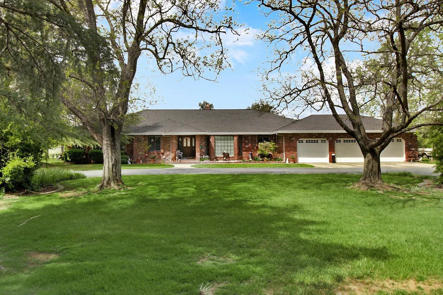 8884 Saddlehorn Ct photo 1
