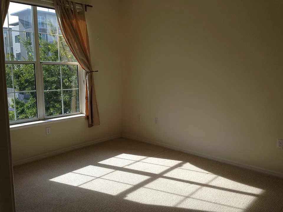3901 Lick Mill Blvd #262