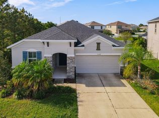 33147 Shadow Branch Ln, Wesley Chapel, FL 33545