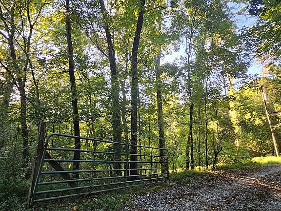 3rd image of 162 Phillips Hollow Rd