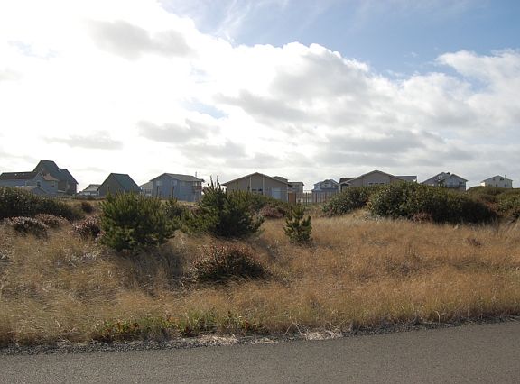 2nd image of 1241 Channel Ave SW