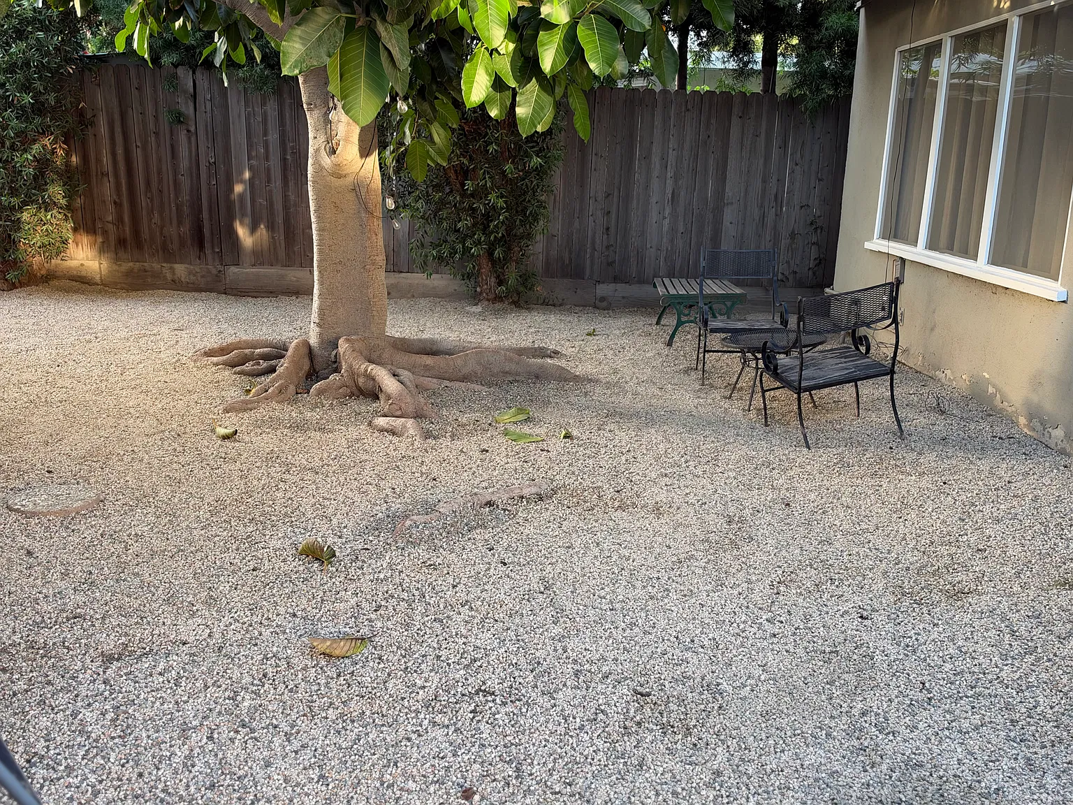 1 bed, 545 sqft, $2,250 — Photo 2