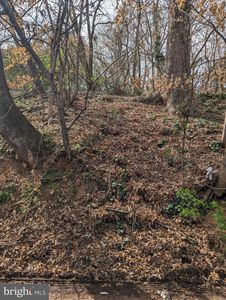 2029 Rear 2 St NE, Washington, DC, 20002