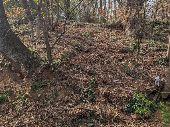 2029 Rear 2 St NE, Washington, DC 20002