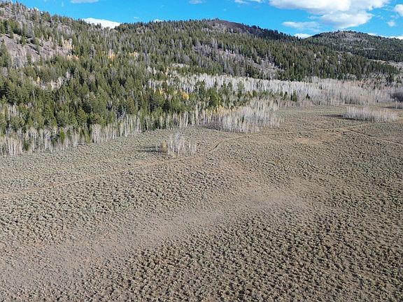 4th image of Miller Creek Rd