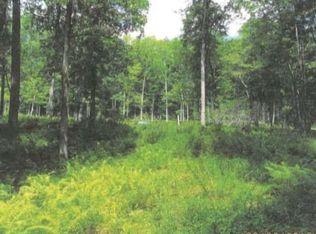 78 Mathias Weiden Dr, Narrowsburg, NY 12764