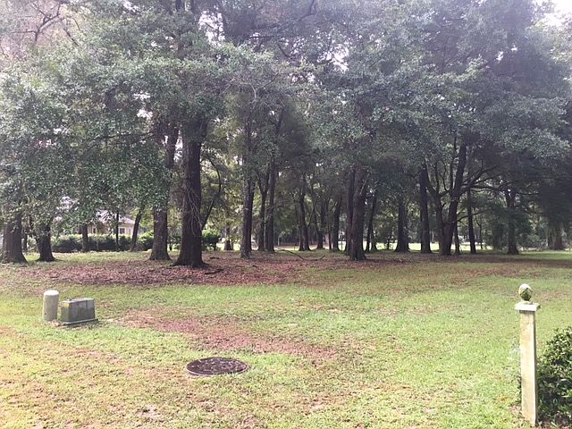 Right front view to back