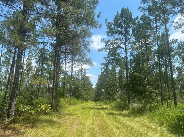 Fm 1005, Jasper, TX 75951