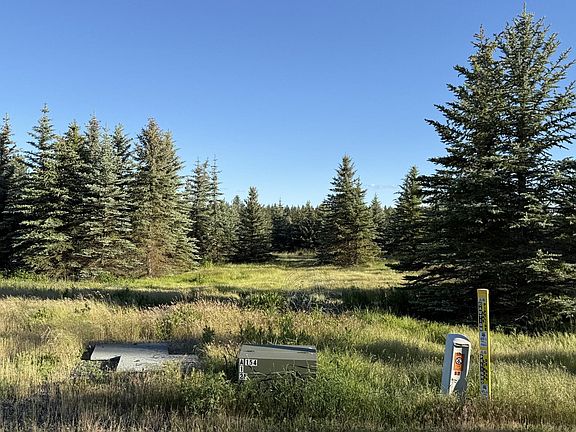 4th image of 111XX S Spruce Tree Ln
