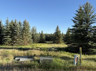 112XX S Spruce Tree Ln, Mica, WA 99023