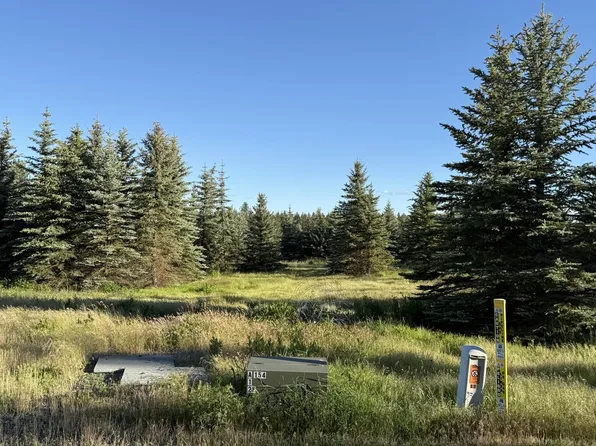 119XX S Spruce Tree Ln, Mica, WA 99023