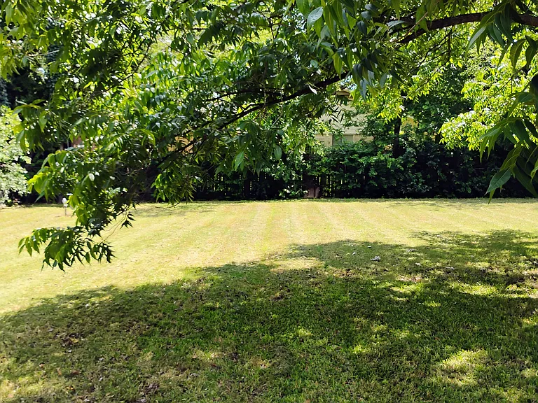 206 W Robin Ln — Photo 8